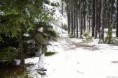 /album/ii-mezinarodni-damska-nahanka-v-ceske-republice-2012/mg-0533-jpg/