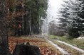 /album/ii-mezinarodni-damska-nahanka-v-cr-drazejov-2012/mg-0811-jpg2/