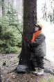 /album/ii-mezinarodni-damska-nahanka-v-cr-drazejov-2012/mg-0816-jpg2/